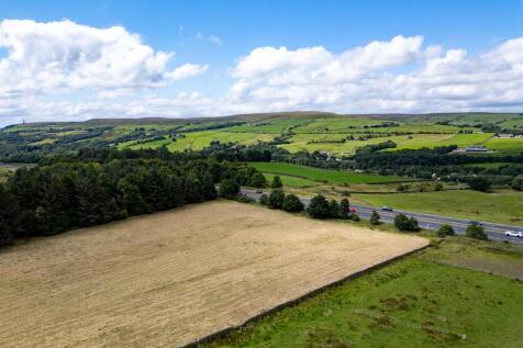DJI_0008.jpg