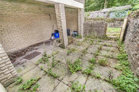 Rear Yard