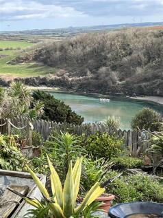 View from garden