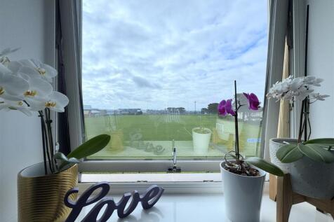 View from Bedroom