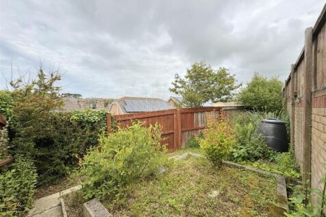 Wild Garden/Vegetable Garden