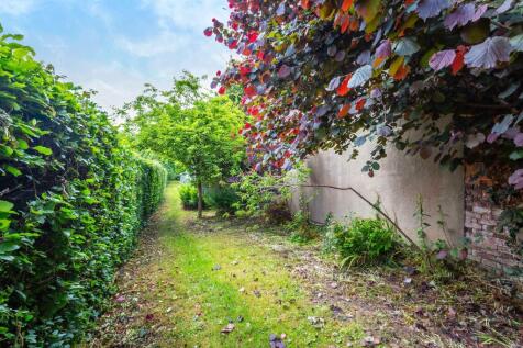 Garden (6).jpg