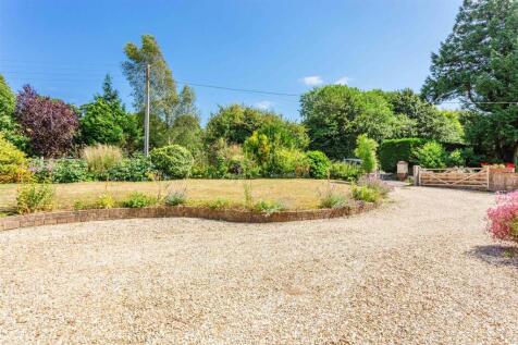 Front Garden2.jpg