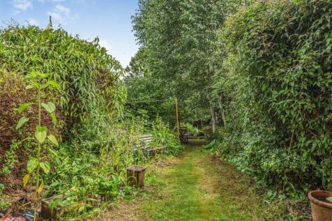 Garden (4).jpg