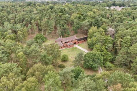 d27cd20a-DJI_20250818133724_0048_D.jpg