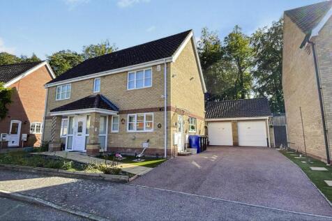 tlc_5e53da0a-cd29-440d-9206-30385e980707_aa475a1.j