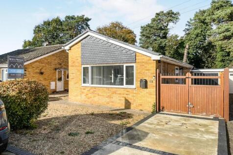 tlc_e4fbf08f-d820-4b68-9131-0a9fac235de8_3f0b122.j