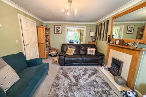 tlc_014e7842-8052-438c-8cd9-704faee9dab6_6b39226.j