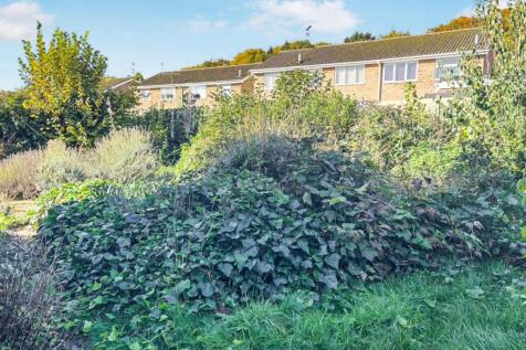 tlc_f7b4a938-5ee1-4713-8de4-377750297baa_5caaeab.j