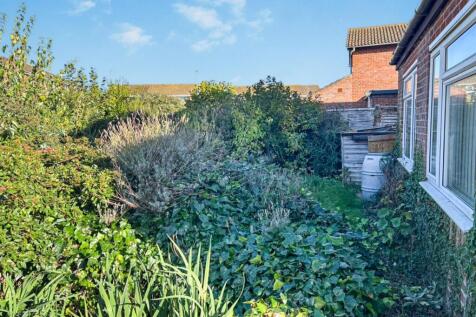 tlc_e3911152-dd29-4f52-a18c-c3f557216ab5_90b6391.j