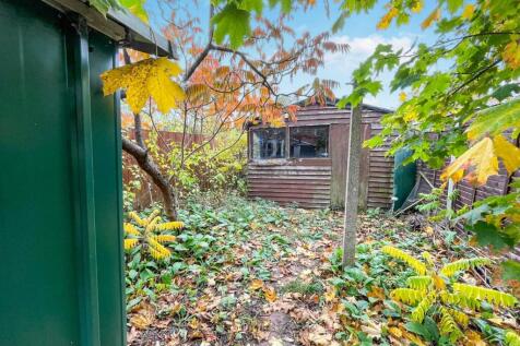 tlc_34fec7f8-5c75-4bd6-a2c3-a18ec7df429b_8ed01bc.j