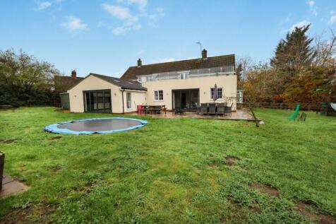 tlc_9d490c05-e885-4c8f-85f2-974df8c1a498_dfc3aeb.j