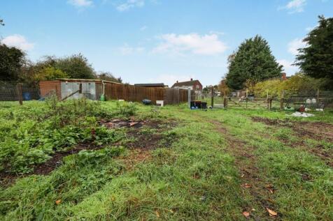 tlc_ce11f167-89c8-4194-a0fd-bb75cd451912_f8a1ba8.j