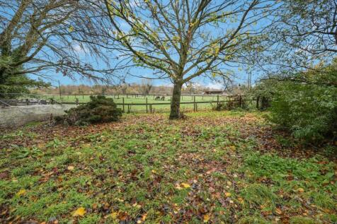 tlc_604d5d20-d227-4963-b7e3-f8024bc89081_425ff5e.j