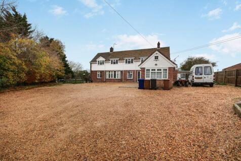 tlc_8057301b-3f86-4162-a6bf-9eabe19af66e_9a46e19.j