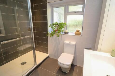 Shower Room (Downstairs)