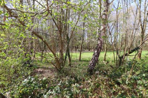 Front View - Nature Reserve