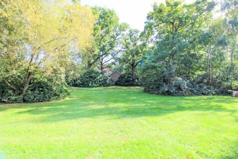 Adjacent Green