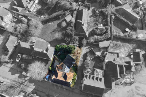 black &amp; white birdseye