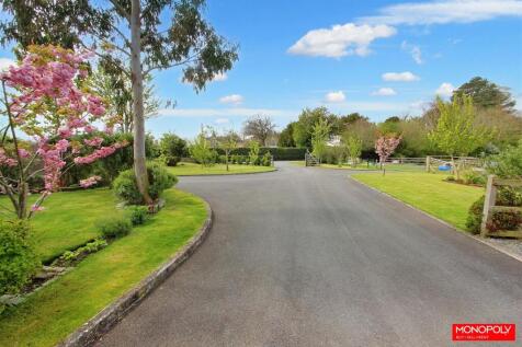 Driveway.jpg