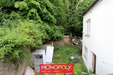 Rear Yard.jpg