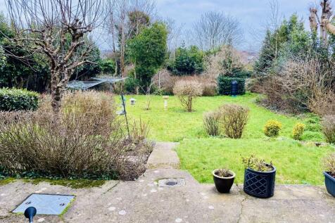 ashey road garden 