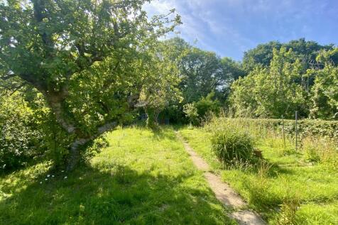 fairlee wild agrden 