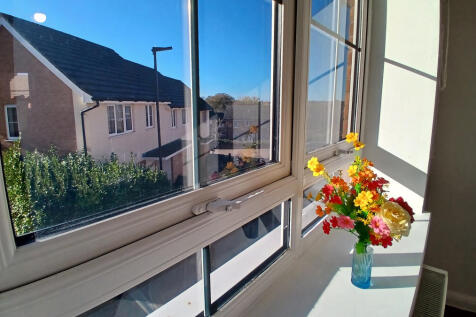 window show st wilfreds 