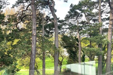 new view2.jpg