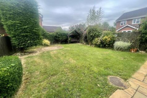 garden 2.jpeg