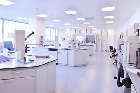 Lambourn Lab 1.jpg