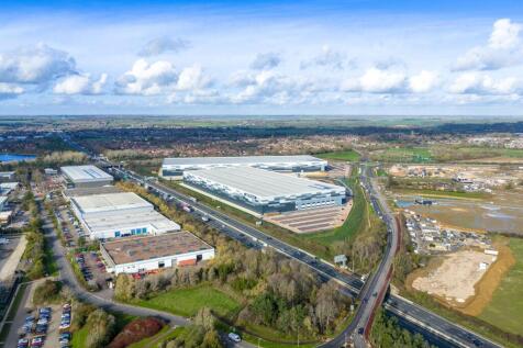 Eighty_Pan MK_20251113_0539.jpg