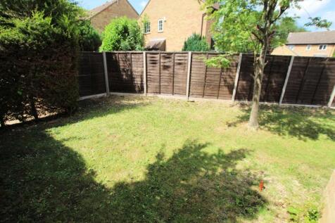 Garden.JPG