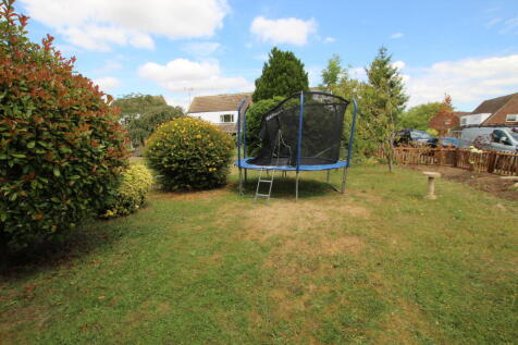 Front garden.JPG