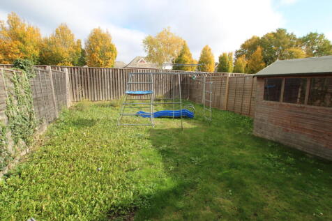 Garden.JPG