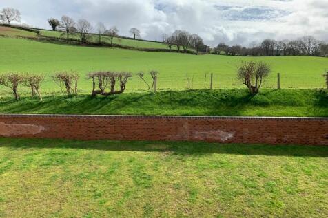Field views at the back