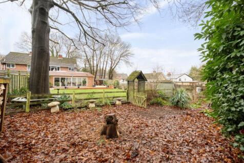 Woodland Aspect