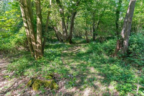 Property Image 20