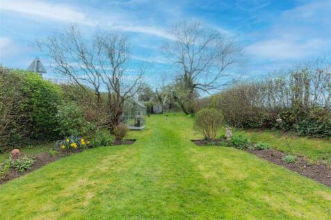 back-garden-1-5.jpg
