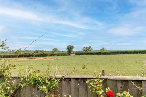 Garden-8.jpg