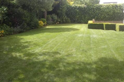 garden 1.JPG