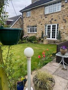 garden 4.jpg