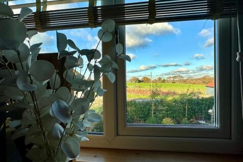 View from master bedroom