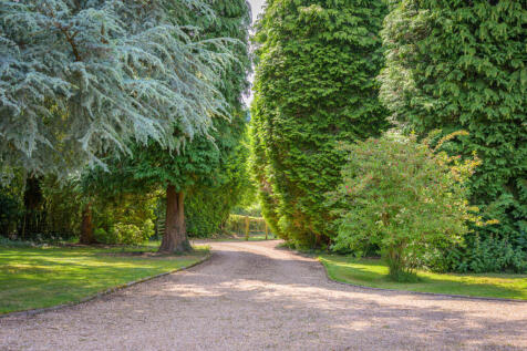 Property Image 31