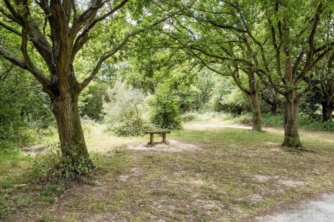 Property Image 22