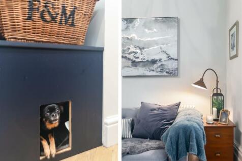 Dog Bed/Lounge