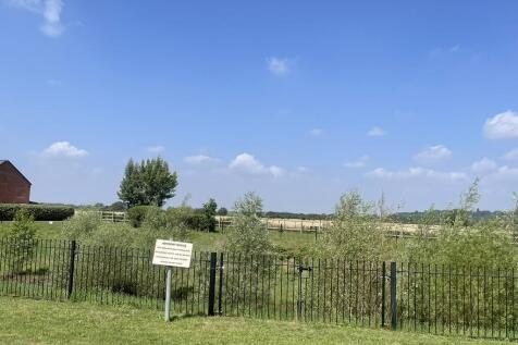 IMG_4054