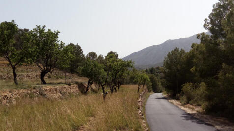Property Image 7