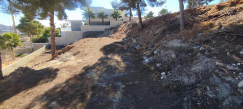 Property Image 4