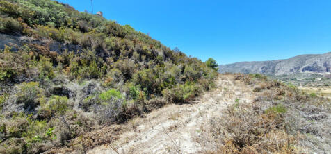 Property Image 9
